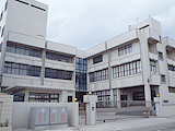 p×